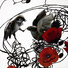 Cropped_68_brownell