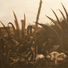 Cropped_68_rest_on_the_flight_into_egypt