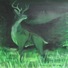 Cropped_68_082f0989e7