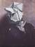 Proportional_68_3033