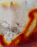 Proportional_68_butterfly_12
