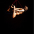 Cropped_68_hogtied