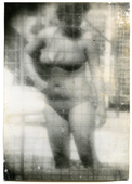 Proportional_227_mt001_72ppi