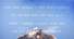 Proportional_68_hammer-ed_ruscha__manana