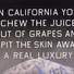 Cropped_68_hammer-ed_ruscha__california_grapeskins