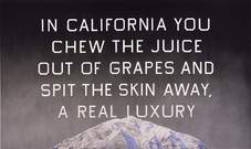 Proportional_227_hammer-ed_ruscha__california_grapeskins