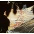 Cropped_68_341593