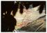 Proportional_68_341593