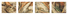 Proportional_68_79148f86da