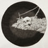 Cropped_68_sophies_soul