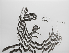 Proportional_227_iris