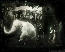 Proportional_227_neartheegress_filmstills-32