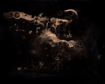 Proportional_227_antonio-martinez_circuselephant01-copy