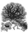 Proportional_68_bcd52f677d