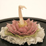 Cropped_68_arm_flower_close_up
