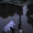 Cropped_68_471bdf6cf1