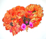 Proportional_68_jmooney_damagedbrainii