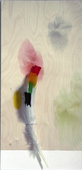 Proportional_227_bureau-_tom_holmes