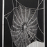 Cropped_68_pastine_web_web