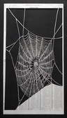 Proportional_227_pastine_web_web