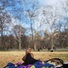 Cropped_68_shoe_trees