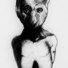 Cropped_68_img_1328_-_copy