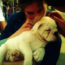 Cropped_227_pugandme