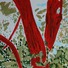 Cropped_68_cpe_2.