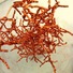 Cropped_68_image-5