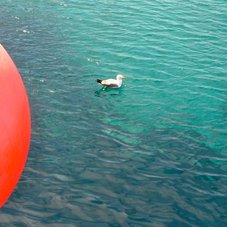 Cropped_227_croatia