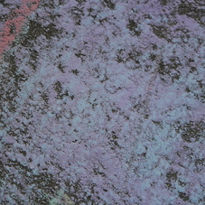 Cropped_227_img_4491