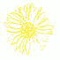 Cropped_68_cropyellowdaisy190