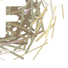 Cropped_68_header_avatar
