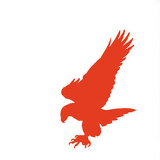 Cropped_227_eagle