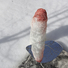 Cropped_68_image_4