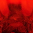 Cropped_68_dsc_0089