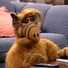 Cropped_68_alf