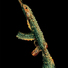 Cropped_68_katalive25x40