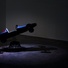 Cropped_68_dorschgallery_ralph_provisero