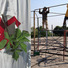 Cropped_68_civicaction