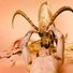 Cropped_68_ibex__dusty_coral__2012