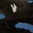 Cropped_68_steve