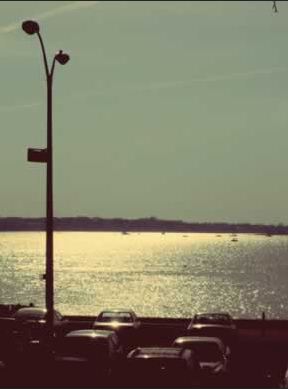 Proportional_725_photo