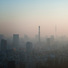 Cropped_68_3181_largeview