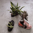 Cropped_68_1tiestos18