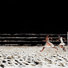 Cropped_68_matt-rota-beach