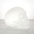 Cropped_68_levine_skullk
