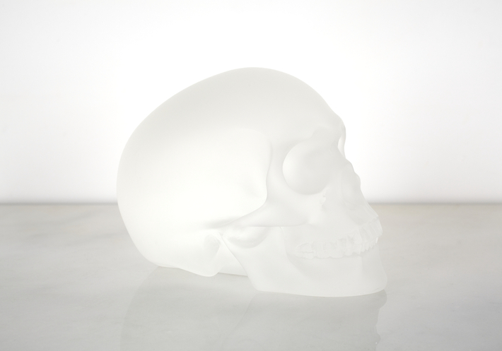 Proportional_710_levine_skullk