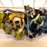 Cropped_68_img_9284
