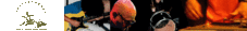 Proportional_227_banner_1